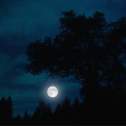 Procer Veneficus : Lunar Transit